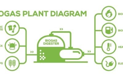 Biogas Tanks: What You Need to Know Before Installing on a Farm or Estate